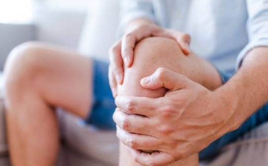 콘드로이친 효능