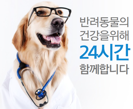 강남 동물병원